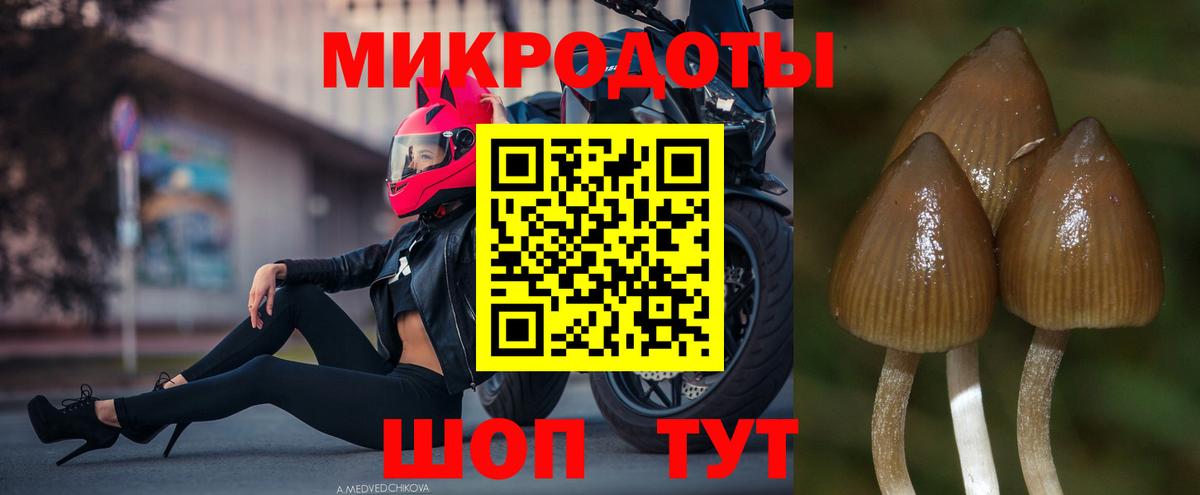 Псилоцибиновые грибы мицелий  Галлюциногенные грибы Magic Shrooms  Вход с VPN  Саянск 